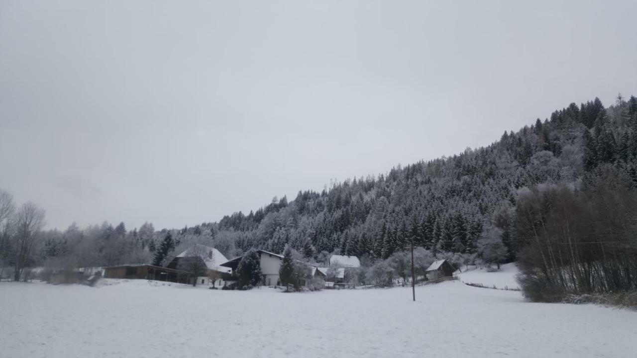 Nockalm Cottage Bad Kleinkirchheim Luaran gambar